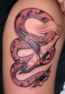 http://designstattoo.net/tattoo-designs-blog/wp-content/uploads/2010/11/Snake_animal_tattoo1-210x300.jpg