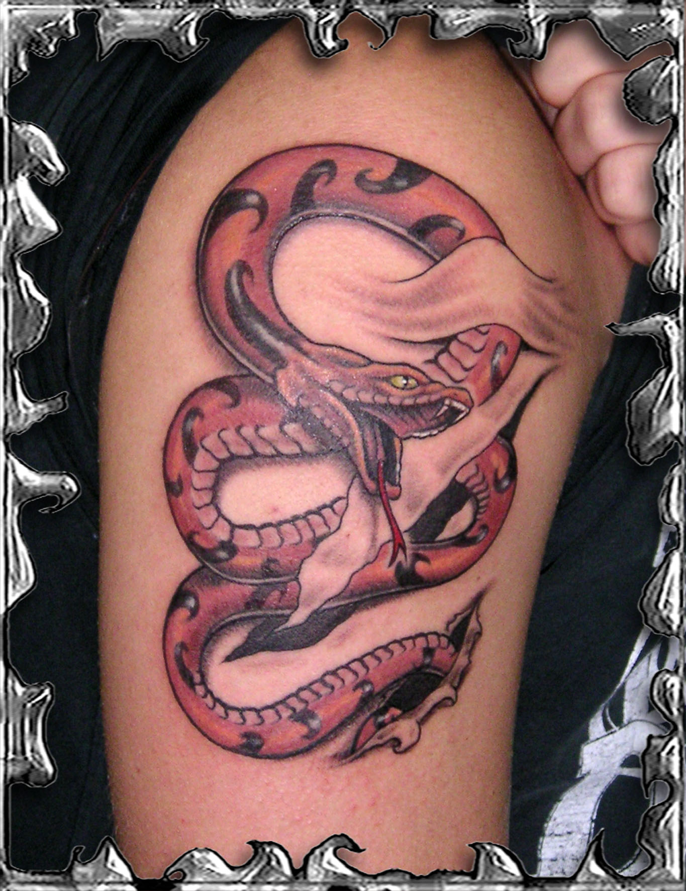 Many snake tattoo designs